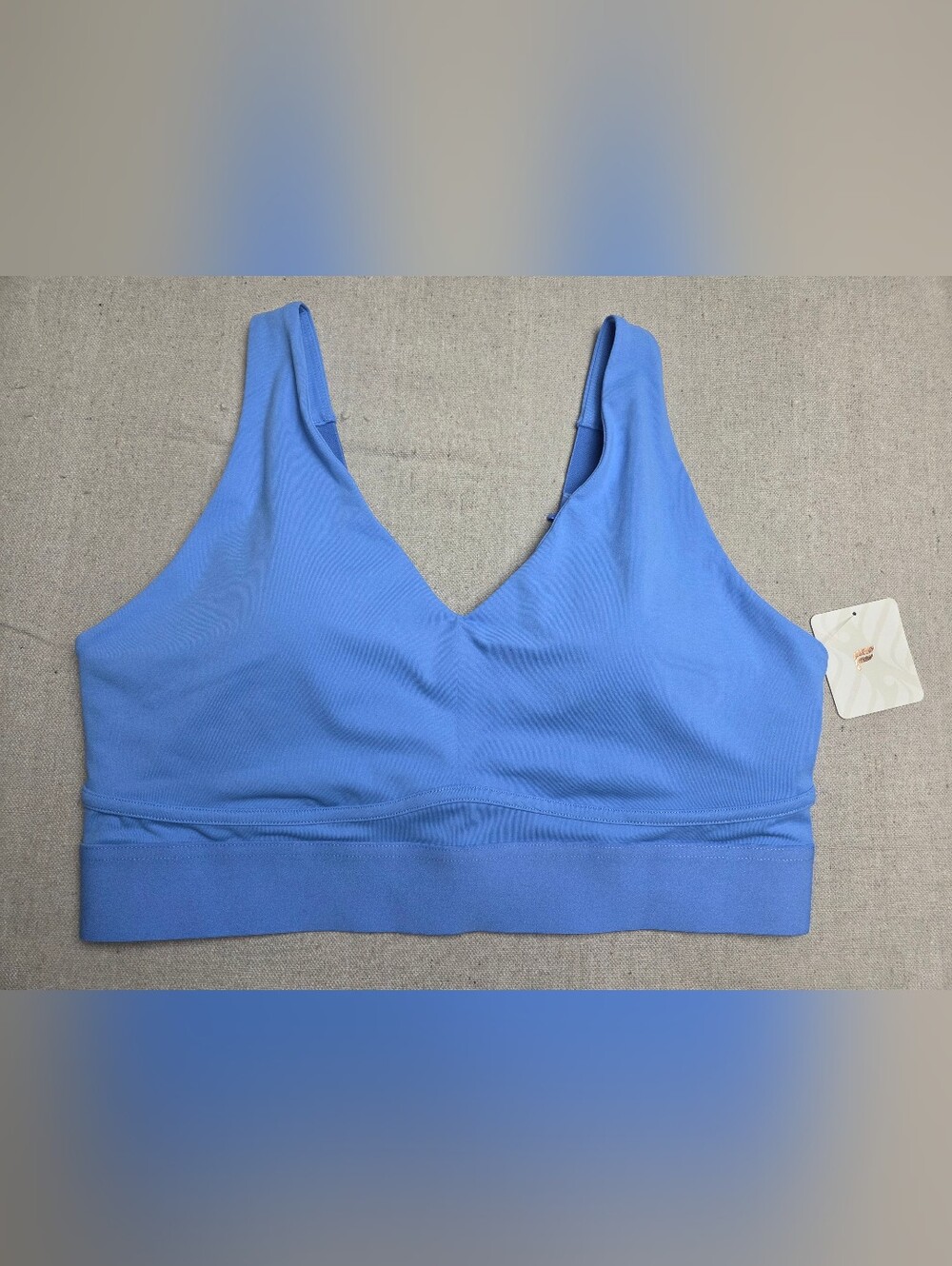 Fabletics V-Neck Bralette in Periwinkle